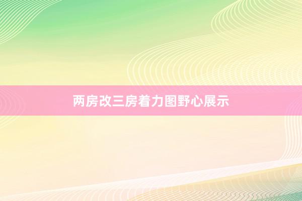 两房改三房着力图野心展示