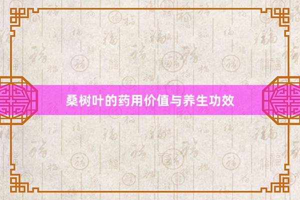桑树叶的药用价值与养生功效